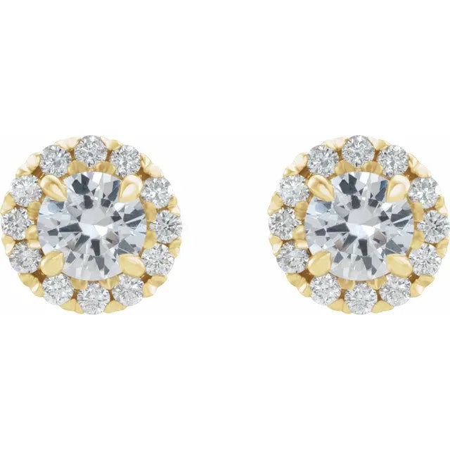 14K  5/8 CTW Natural Diamond Halo-Style Earrings