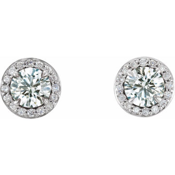 14K White Gold 3/8 CTW Claw Prong Halo-Style Natural Diamond Earrings